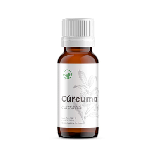 Cúrcuma