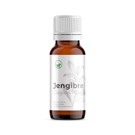 Jengibre